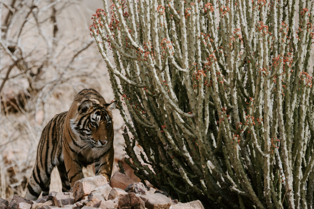 the mind of a stalker